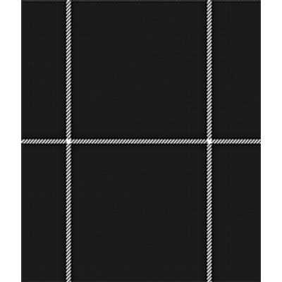 IMAGE_T
