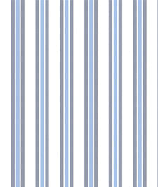 IMAGE_T