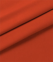 IMAGE_T