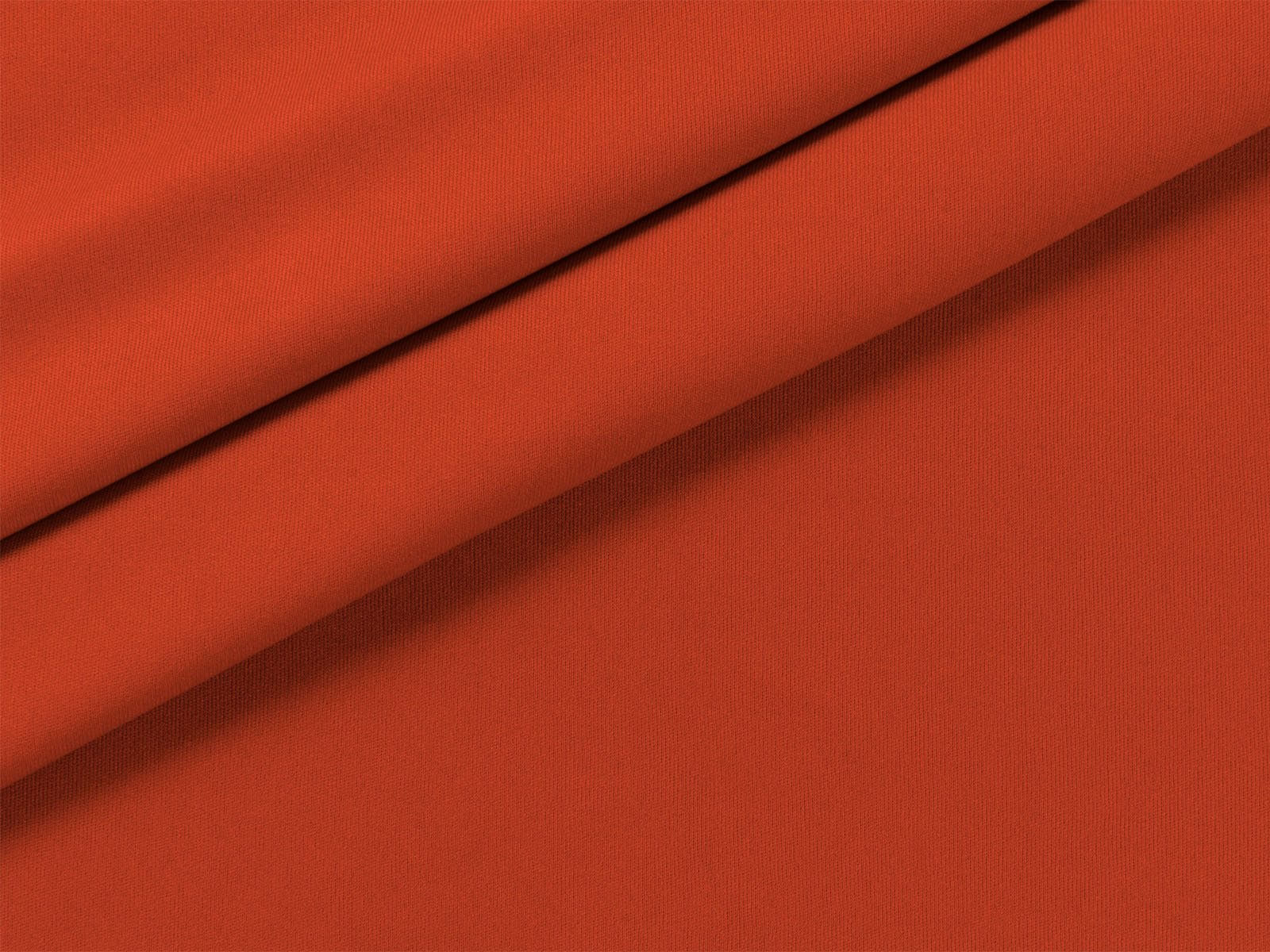 IMAGE_L