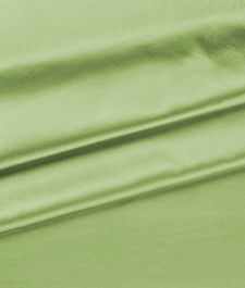 IMAGE_T