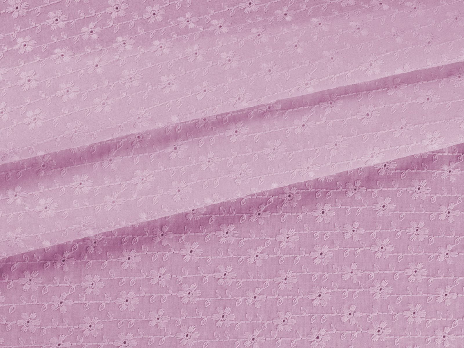 IMAGE_L