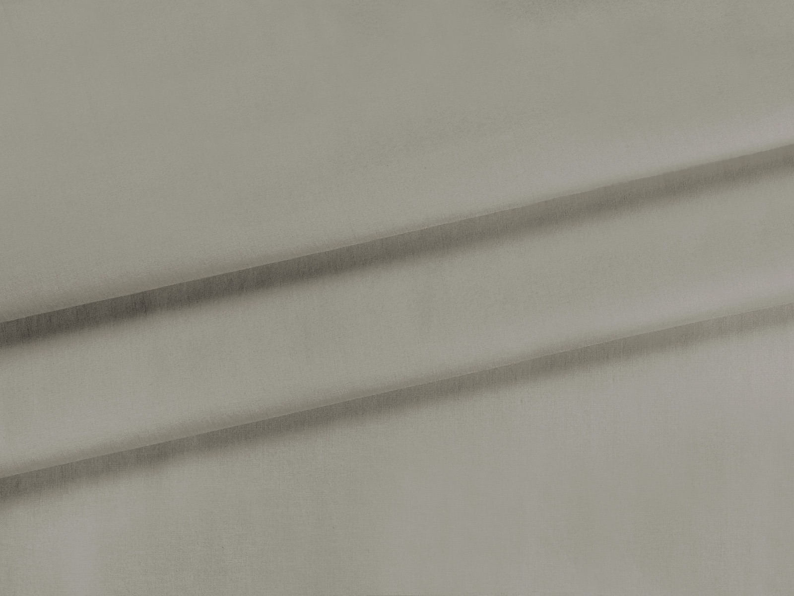 IMAGE_L