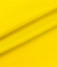 IMAGE_T