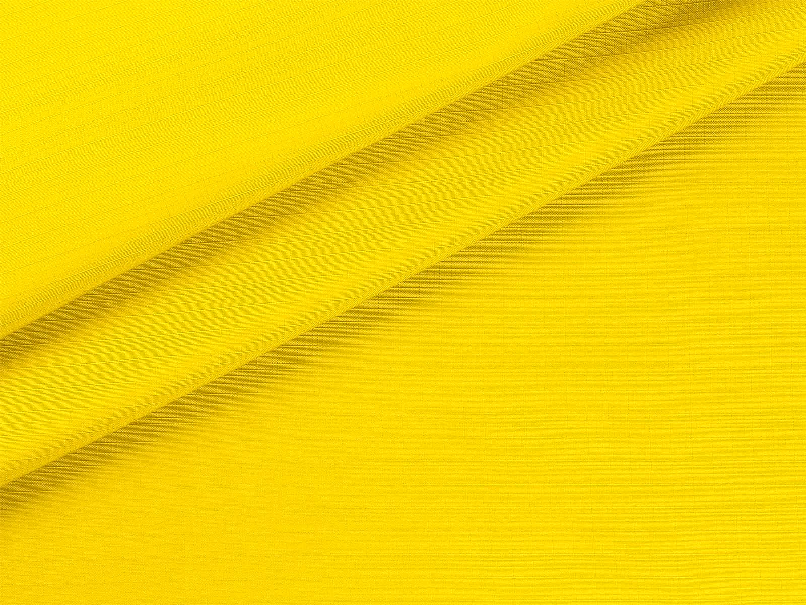 IMAGE_L