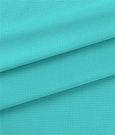 IMAGE_T