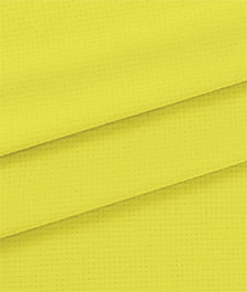 IMAGE_T