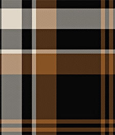 IMAGE_T