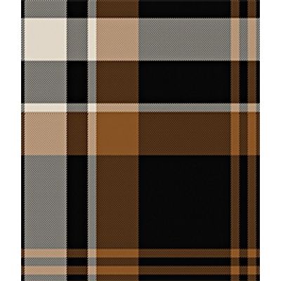 IMAGE_T