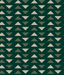 IMAGE_T