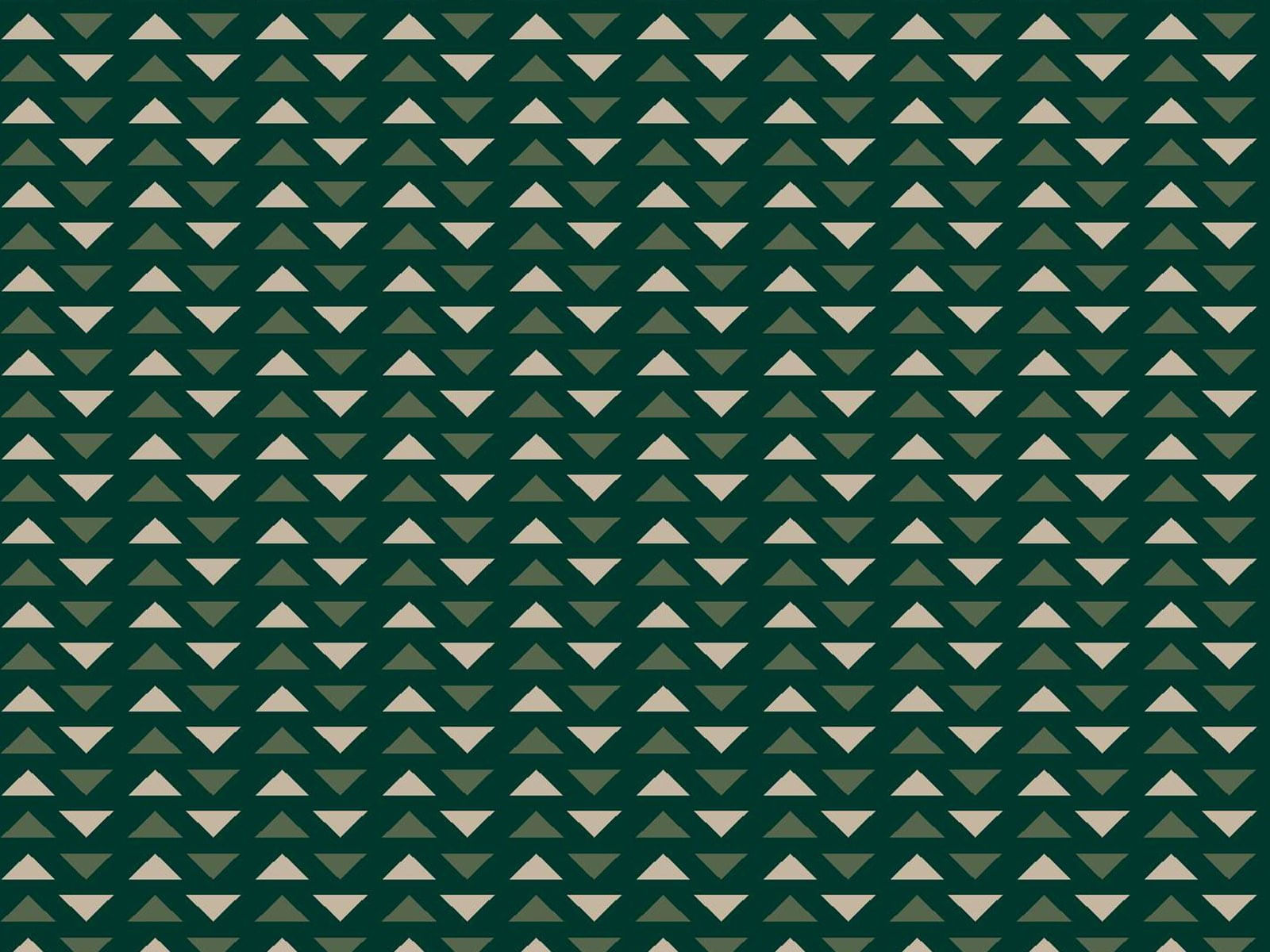 IMAGE_L