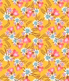 IMAGE_T