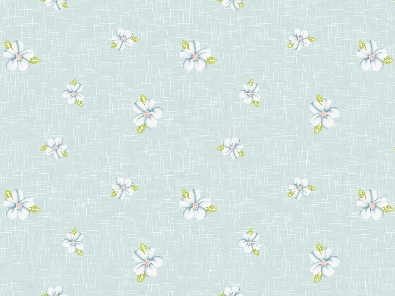 IMAGE_L