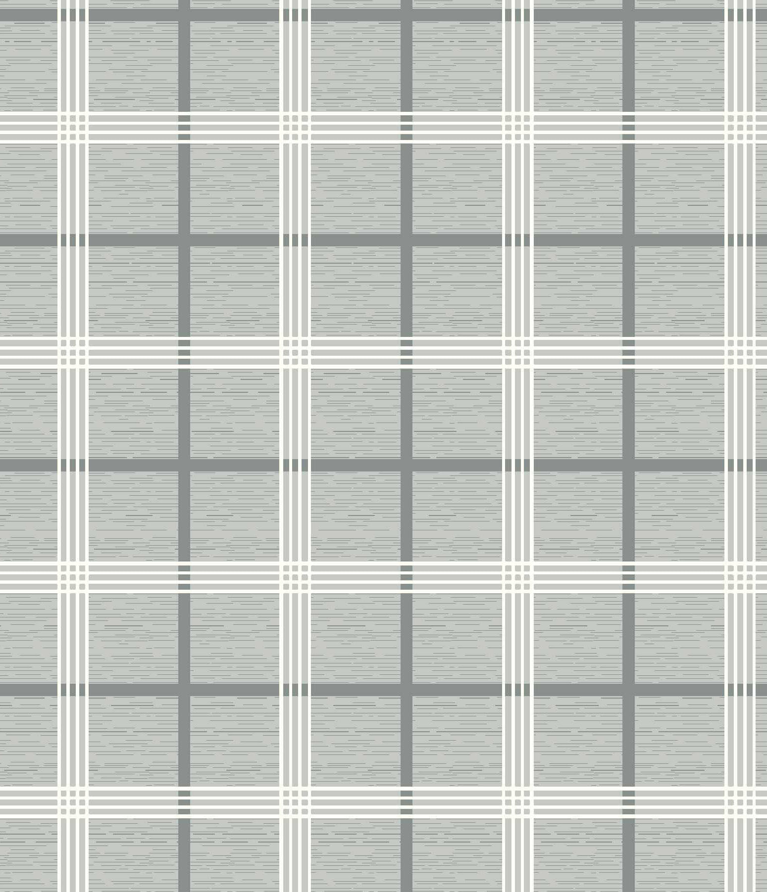 IMAGE_T