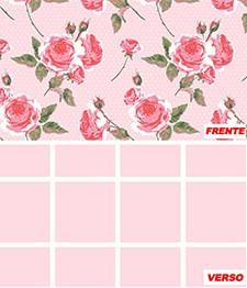 IMAGE_T