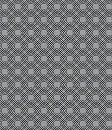 IMAGE_T
