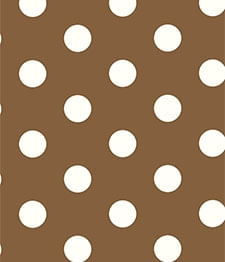 IMAGE_T