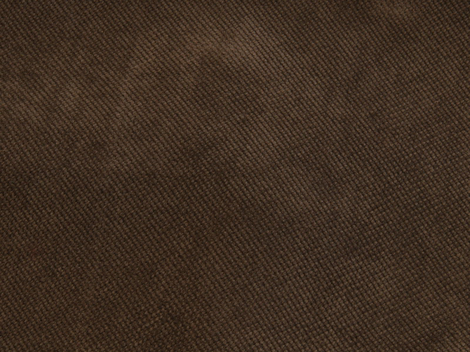 IMAGE_L