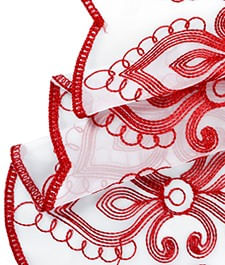 IMAGE_T