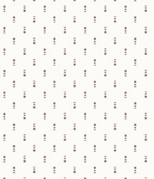 IMAGE_T