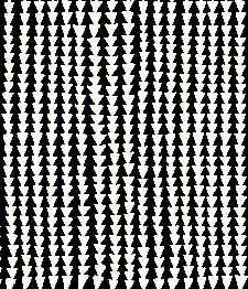IMAGE_T