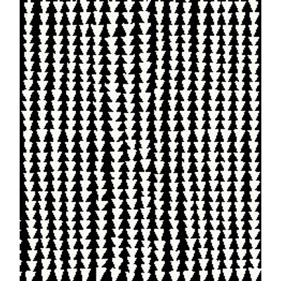 IMAGE_T