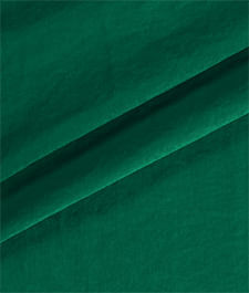 IMAGE_T