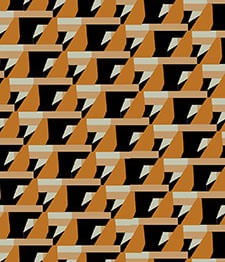 IMAGE_T