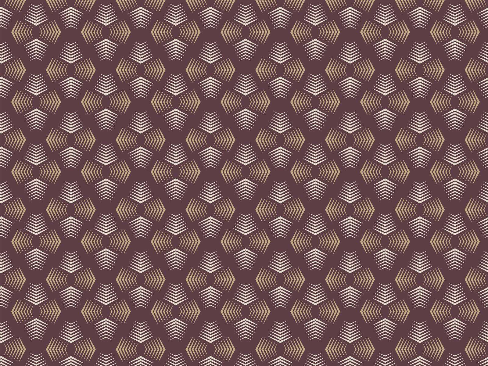 IMAGE_L