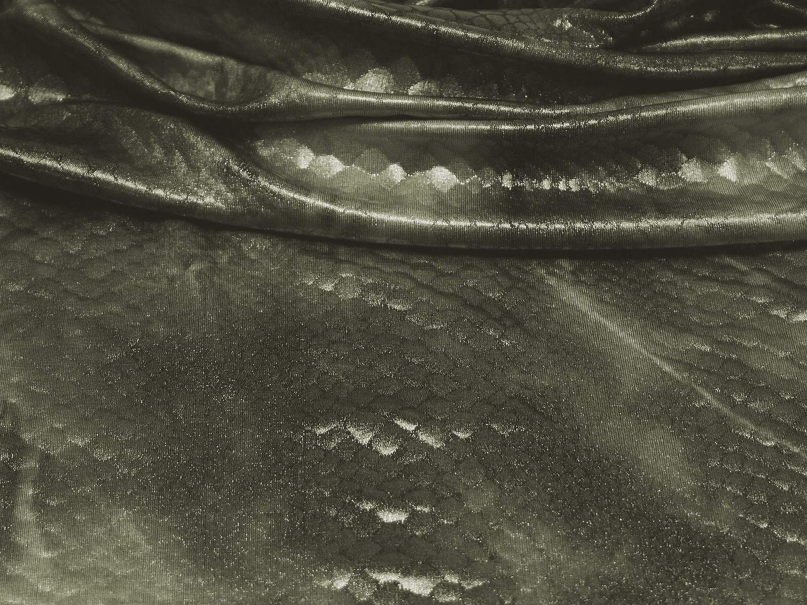 IMAGE_L