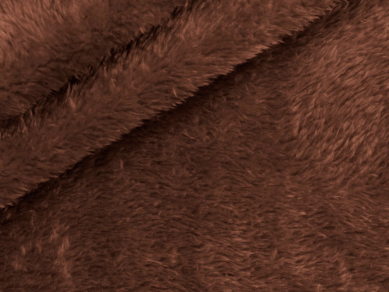 IMAGE_L