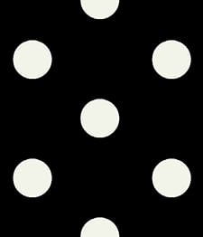 IMAGE_T