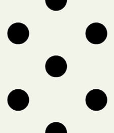 IMAGE_T