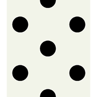 IMAGE_T