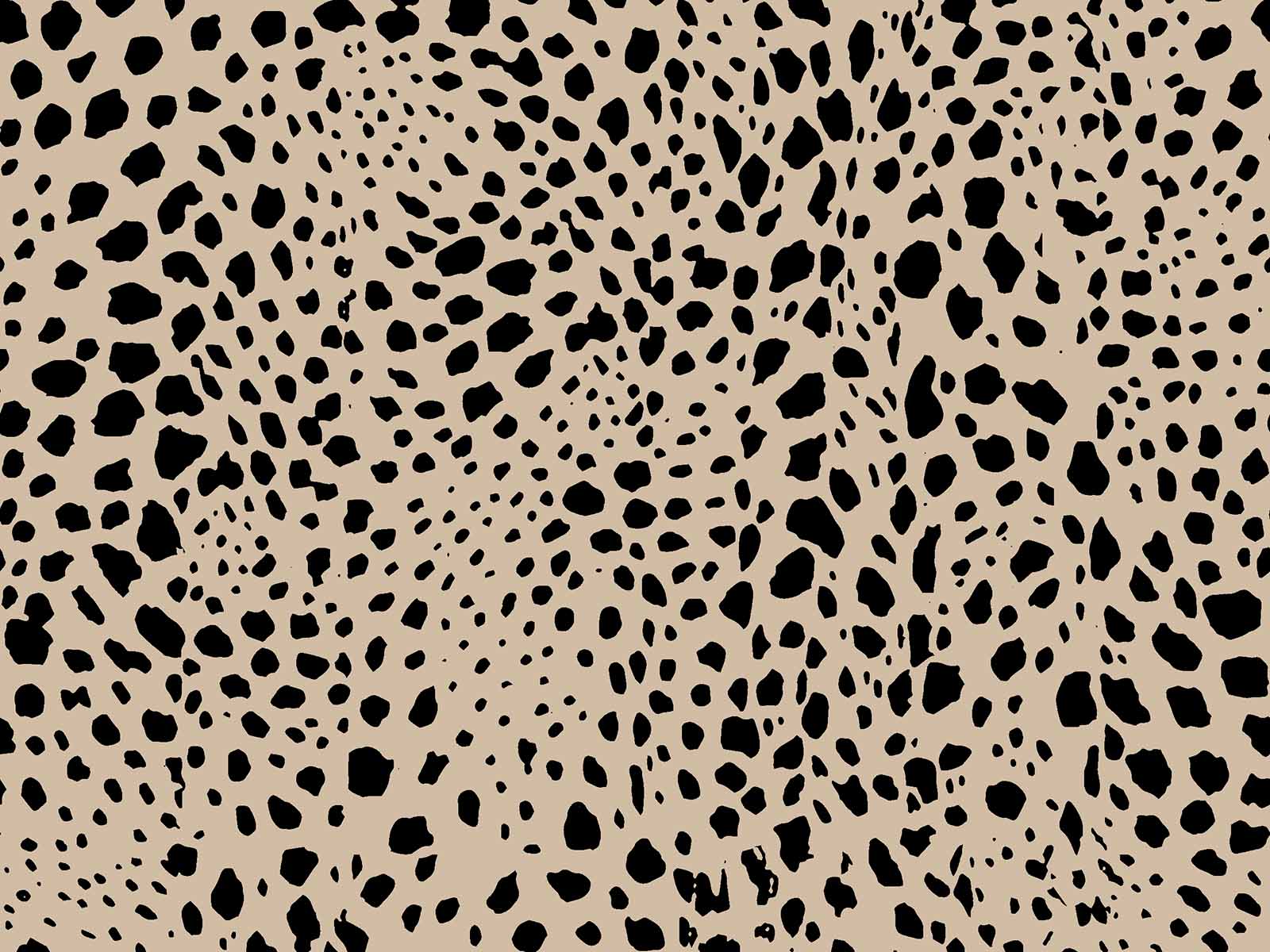 IMAGE_L