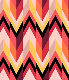 IMAGE_T