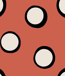 IMAGE_T