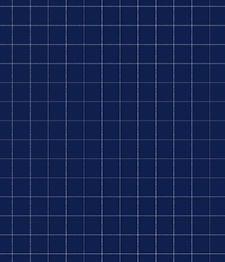 IMAGE_T