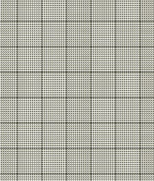 IMAGE_T