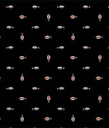 IMAGE_T