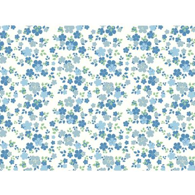 IMAGE_L
