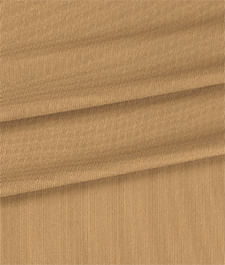IMAGE_T