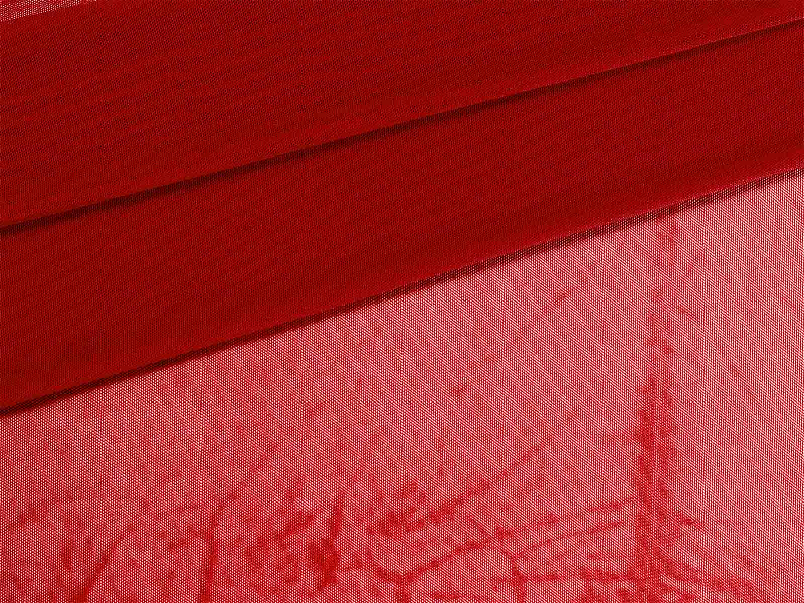 IMAGE_L