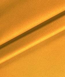 IMAGE_T