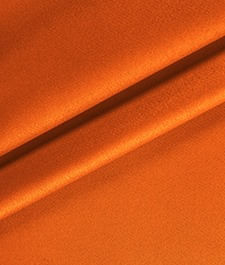 IMAGE_T
