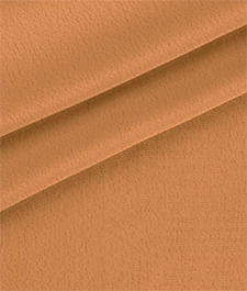 IMAGE_T