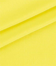 IMAGE_T