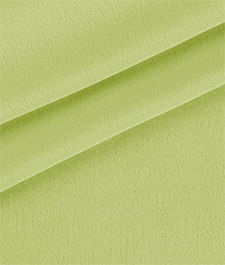 IMAGE_T