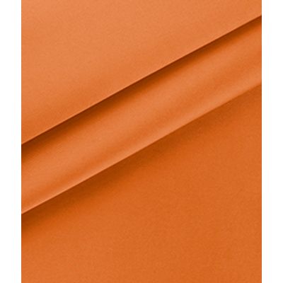IMAGE_T
