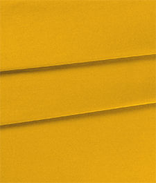 IMAGE_T